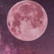 ヒメ日記 2025/11/13 05:30 投稿 みなみ レッドろまん枚方店