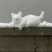 ヒメ日記 2026/01/30 05:30 投稿 みなみ レッドろまん枚方店