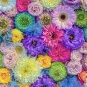 ヒメ日記 2026/01/31 05:30 投稿 みなみ レッドろまん枚方店