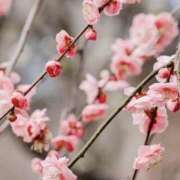 ヒメ日記 2026/03/03 05:30 投稿 みなみ レッドろまん枚方店