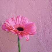 ヒメ日記 2026/04/02 05:30 投稿 みなみ レッドろまん枚方店