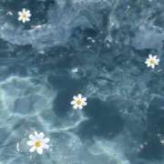 ヒメ日記 2026/04/07 05:30 投稿 みなみ レッドろまん枚方店