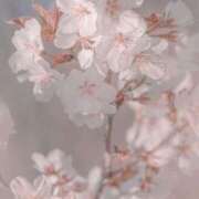 ヒメ日記 2026/04/11 05:30 投稿 みなみ レッドろまん枚方店