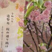 ヒメ日記 2026/04/13 05:30 投稿 みなみ レッドろまん枚方店