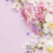 ヒメ日記 2026/04/17 05:30 投稿 みなみ レッドろまん枚方店