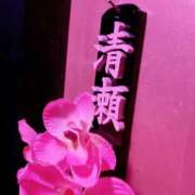 ヒメ日記 2025/05/02 06:09 投稿 あすか姫 螢