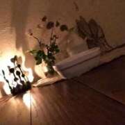 ヒメ日記 2025/05/23 20:00 投稿 あすか姫 螢