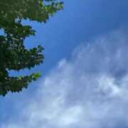 ヒメ日記 2025/06/08 09:48 投稿 あすか姫 螢