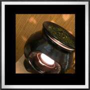 ヒメ日記 2025/06/10 14:30 投稿 あすか姫 螢