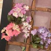 ヒメ日記 2025/06/11 01:15 投稿 あすか姫 螢