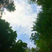 ヒメ日記 2025/07/02 19:15 投稿 あすか姫 螢