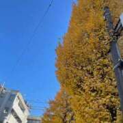 ヒメ日記 2025/12/10 06:45 投稿 あすか姫 螢