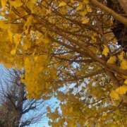 ヒメ日記 2025/12/11 13:45 投稿 あすか姫 螢