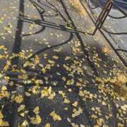 ヒメ日記 2025/12/13 06:30 投稿 あすか姫 螢