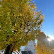 あすか姫 みたよ 螢