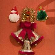 ヒメ日記 2025/12/25 20:15 投稿 あすか姫 螢