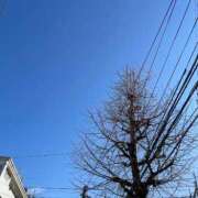 ヒメ日記 2025/12/30 14:02 投稿 あすか姫 螢