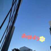 ヒメ日記 2026/01/08 07:15 投稿 あすか姫 螢