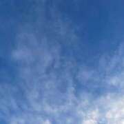 あすか姫 台風のなか 螢