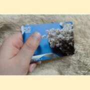 ヒメ日記 2025/03/07 23:33 投稿 さや姫 螢