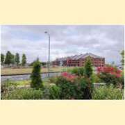 ヒメ日記 2025/05/21 19:23 投稿 さや姫 螢