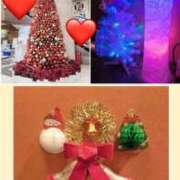 さや姫 ツリーだらけ！ 螢