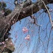 もえ 癒やし…😌 モアグループ 土浦人妻花壇