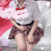 ヒメ日記 2025/04/10 12:16 投稿 ハク ポニーテール和歌山店