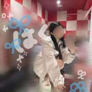 ヒメ日記 2025/06/17 09:22 投稿 ハク ポニーテール和歌山店