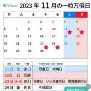 ヒメ日記 2023/11/12 09:00 投稿 こはる AVANCE福岡