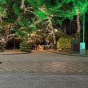 ヒメ日記 2024/12/21 11:46 投稿 こはる AVANCE福岡