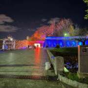 ヒメ日記 2024/12/24 23:31 投稿 こはる AVANCE福岡