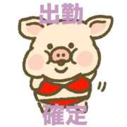 ヒメ日記 2025/06/17 17:08 投稿 もも 成田富里インターちゃんこ