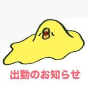 ヒメ日記 2025/07/04 14:23 投稿 もも 成田富里インターちゃんこ