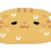 ヒメ日記 2025/09/01 11:25 投稿 もも 成田富里インターちゃんこ