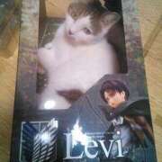 ヒメ日記 2025/09/03 13:13 投稿 ゆうか 桃色奥様 松戸本店