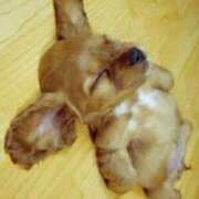 ヒメ日記 2025/09/08 09:36 投稿 ゆうか 桃色奥様 松戸本店