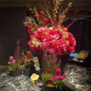 ヒメ日記 2025/02/03 00:57 投稿 氷室 あなたに逢いたくて