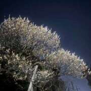 ヒメ日記 2025/03/02 18:17 投稿 氷室 あなたに逢いたくて