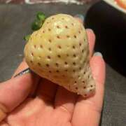 ヒメ日記 2025/03/05 08:17 投稿 氷室 あなたに逢いたくて