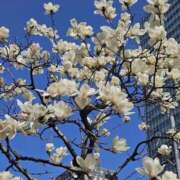 ヒメ日記 2025/03/15 03:57 投稿 氷室 あなたに逢いたくて