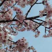 ヒメ日記 2025/03/29 08:27 投稿 氷室 あなたに逢いたくて