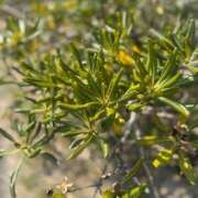 ヒメ日記 2025/04/04 10:37 投稿 氷室 あなたに逢いたくて