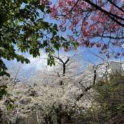 ヒメ日記 2025/04/05 20:27 投稿 氷室 あなたに逢いたくて