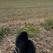 ヒメ日記 2025/05/08 14:37 投稿 氷室 あなたに逢いたくて