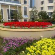 ヒメ日記 2025/05/09 16:57 投稿 氷室 あなたに逢いたくて