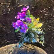 ヒメ日記 2025/06/02 20:27 投稿 氷室 あなたに逢いたくて