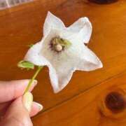 ヒメ日記 2025/06/05 22:07 投稿 氷室 あなたに逢いたくて