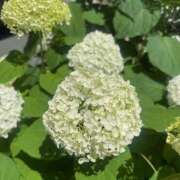 ヒメ日記 2025/06/07 12:17 投稿 氷室 あなたに逢いたくて