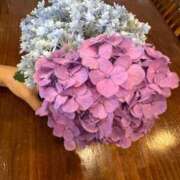 ヒメ日記 2025/06/14 09:37 投稿 氷室 あなたに逢いたくて